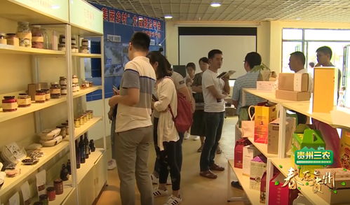 數(shù)說貴州 數(shù)字鄉(xiāng)村的貴州實(shí)踐，智慧生活織就智富夢