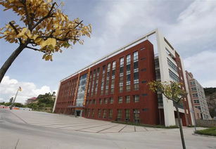 珠海金灣5所本科高校投檔線公布，職業(yè)教育培訓助力學子成才